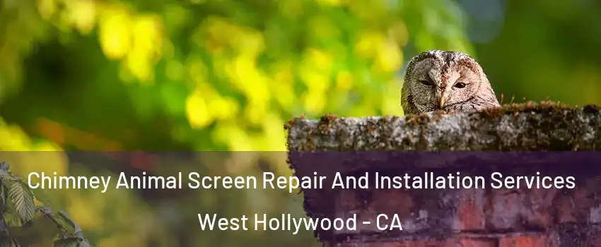  Chimney Animal Screen Repair And Installation Services West Hollywood - CA
