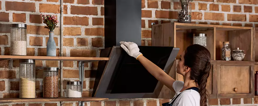 Chimney Installation in West Hollywood, CA