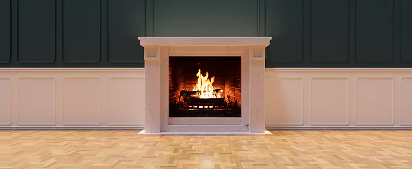 Napoleon Electric Fireplaces Inspection Service in West Hollywood, California