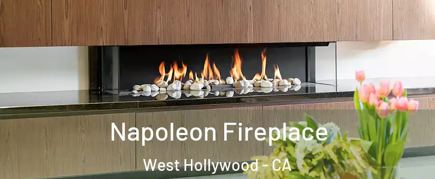  Napoleon Fireplace West Hollywood - CA